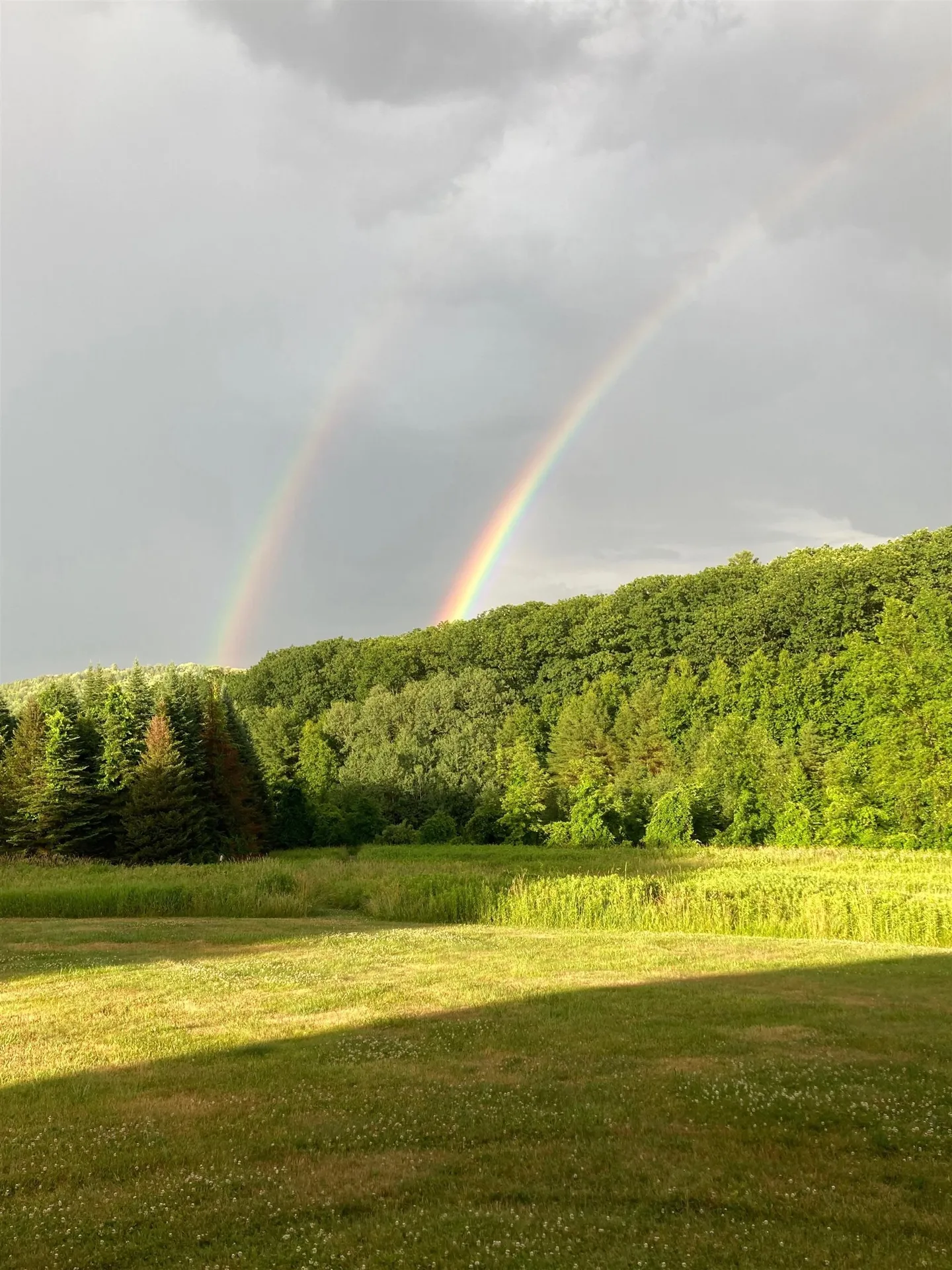 47 Oak Hill Drive Dummerston VT 05301