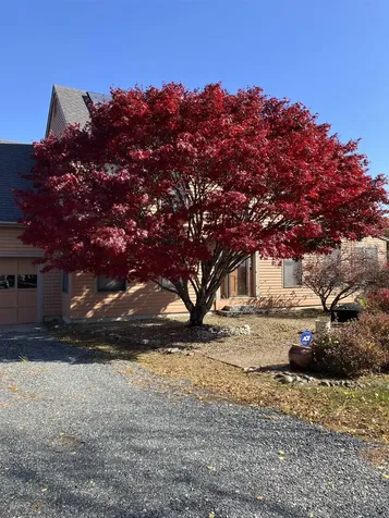 47 Oak Hill Drive Dummerston VT 05301