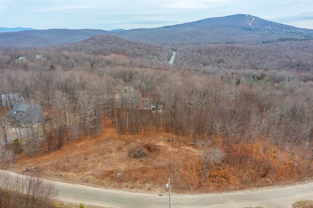 23 Moose Hollow Road Winhall VT 05340