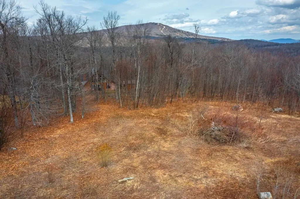 23 Moose Hollow Road Winhall VT 05340