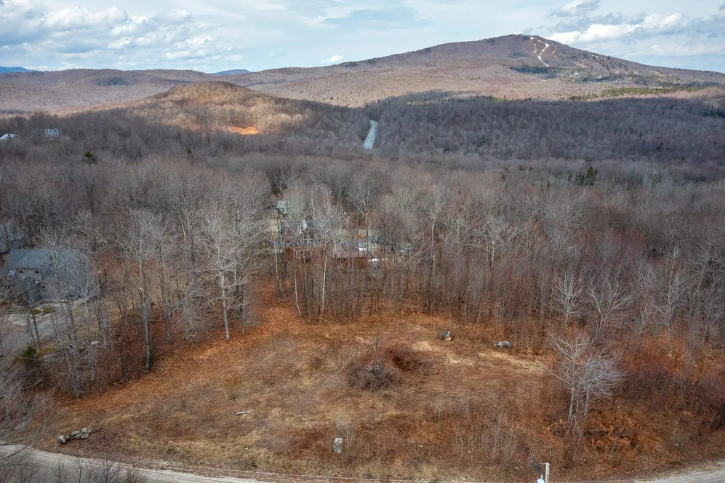 23 Moose Hollow Road Winhall VT 05340