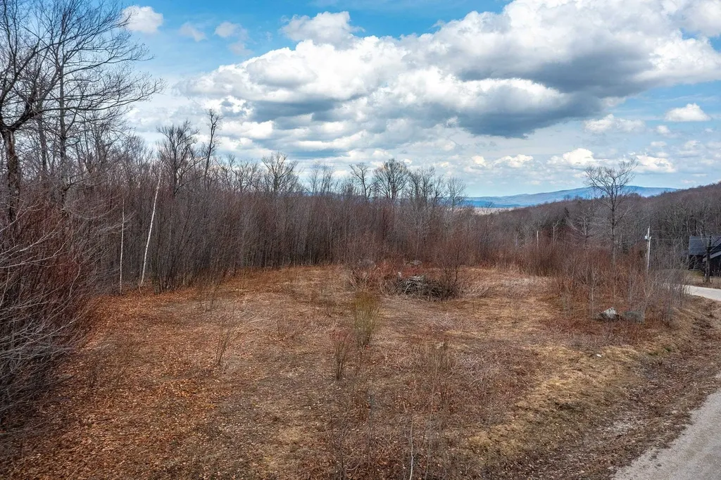 23 Moose Hollow Road Winhall VT 05340