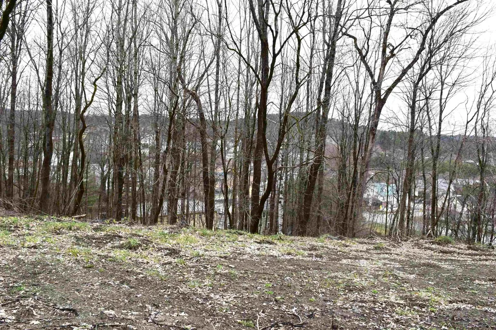 Lot 25 Lafayette Street St. Johnsbury VT 05819
