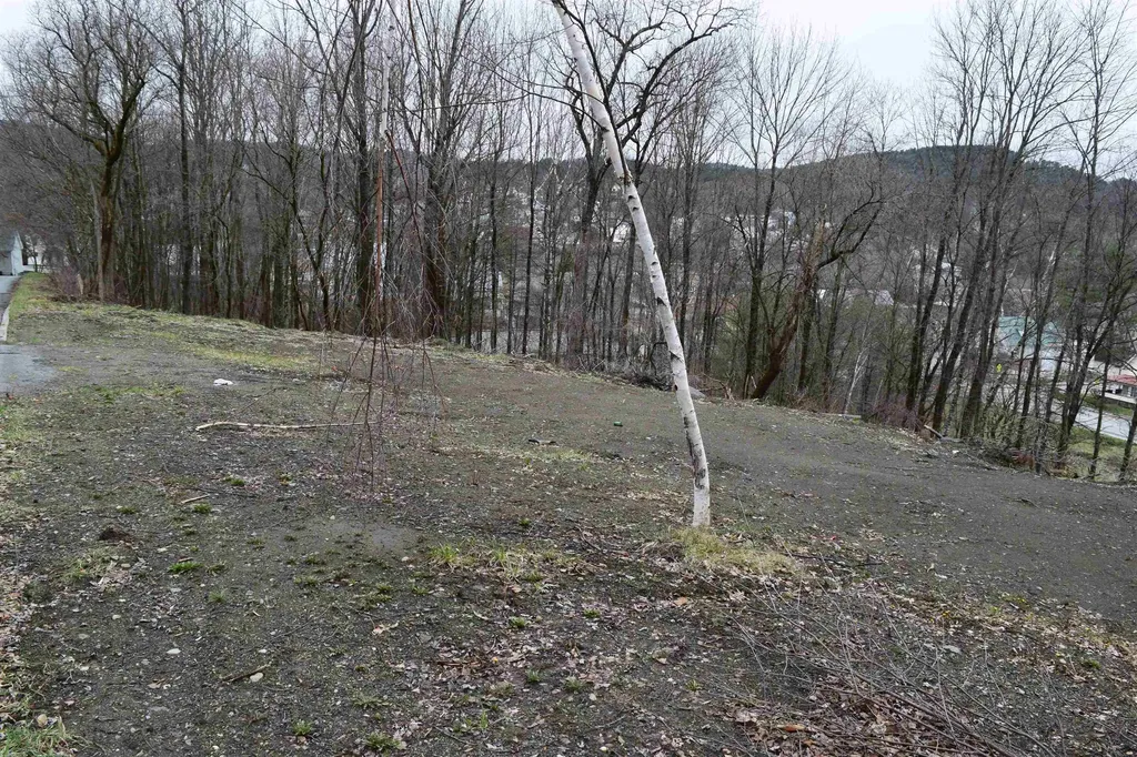 Lot 25 Lafayette Street St. Johnsbury VT 05819
