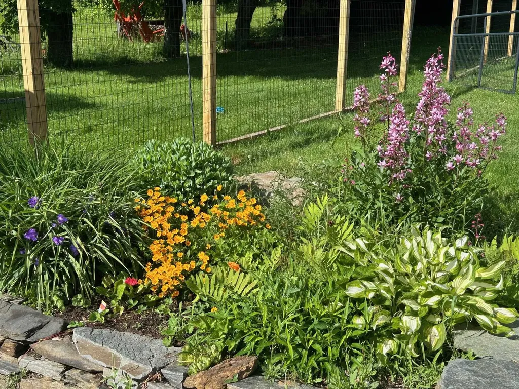 1700 Cadys Falls Road Morristown VT 05661