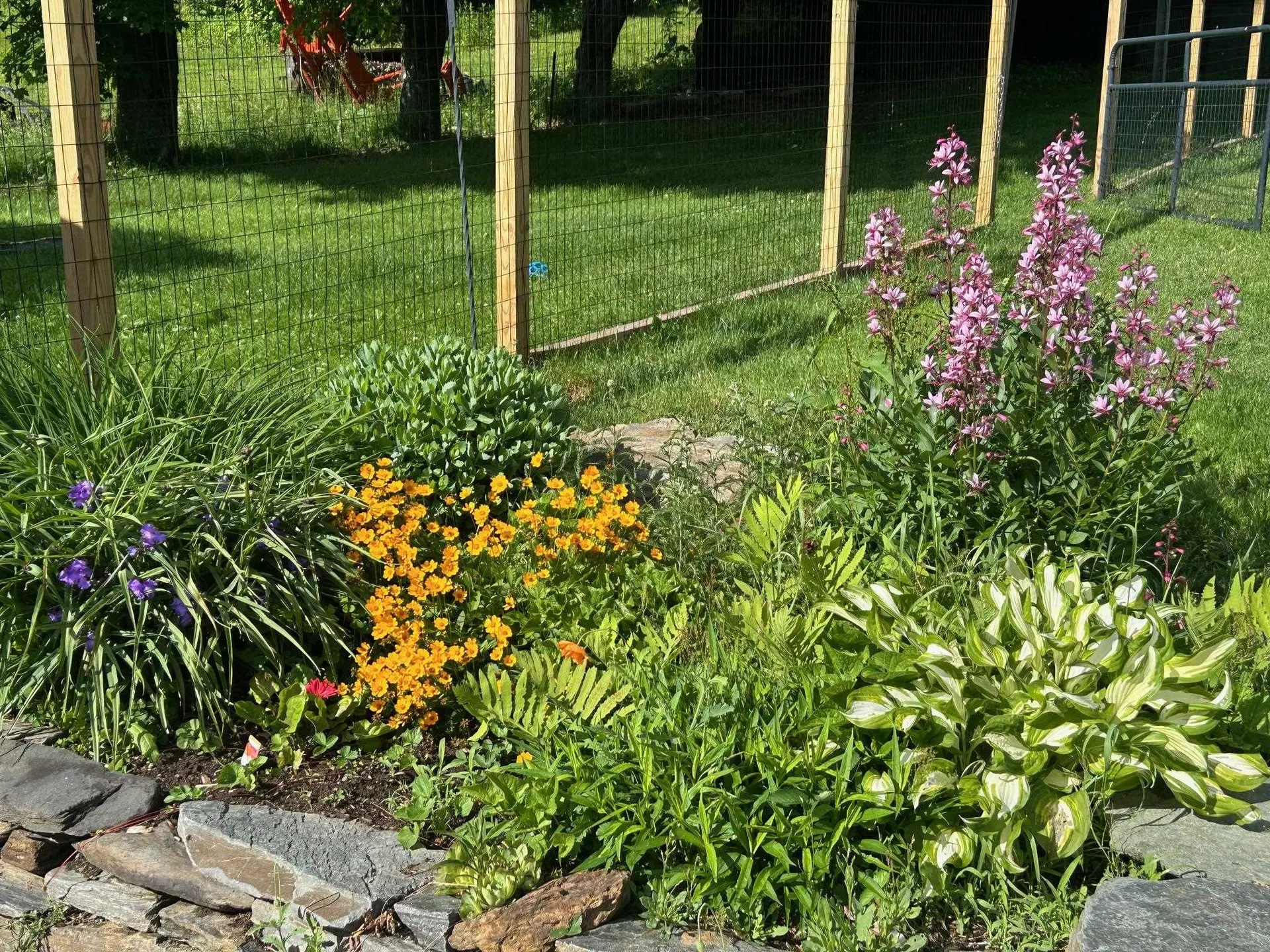 1700 Cadys Falls Road Morristown VT 05661