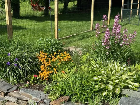 1700 Cadys Falls Road Morristown VT 05661