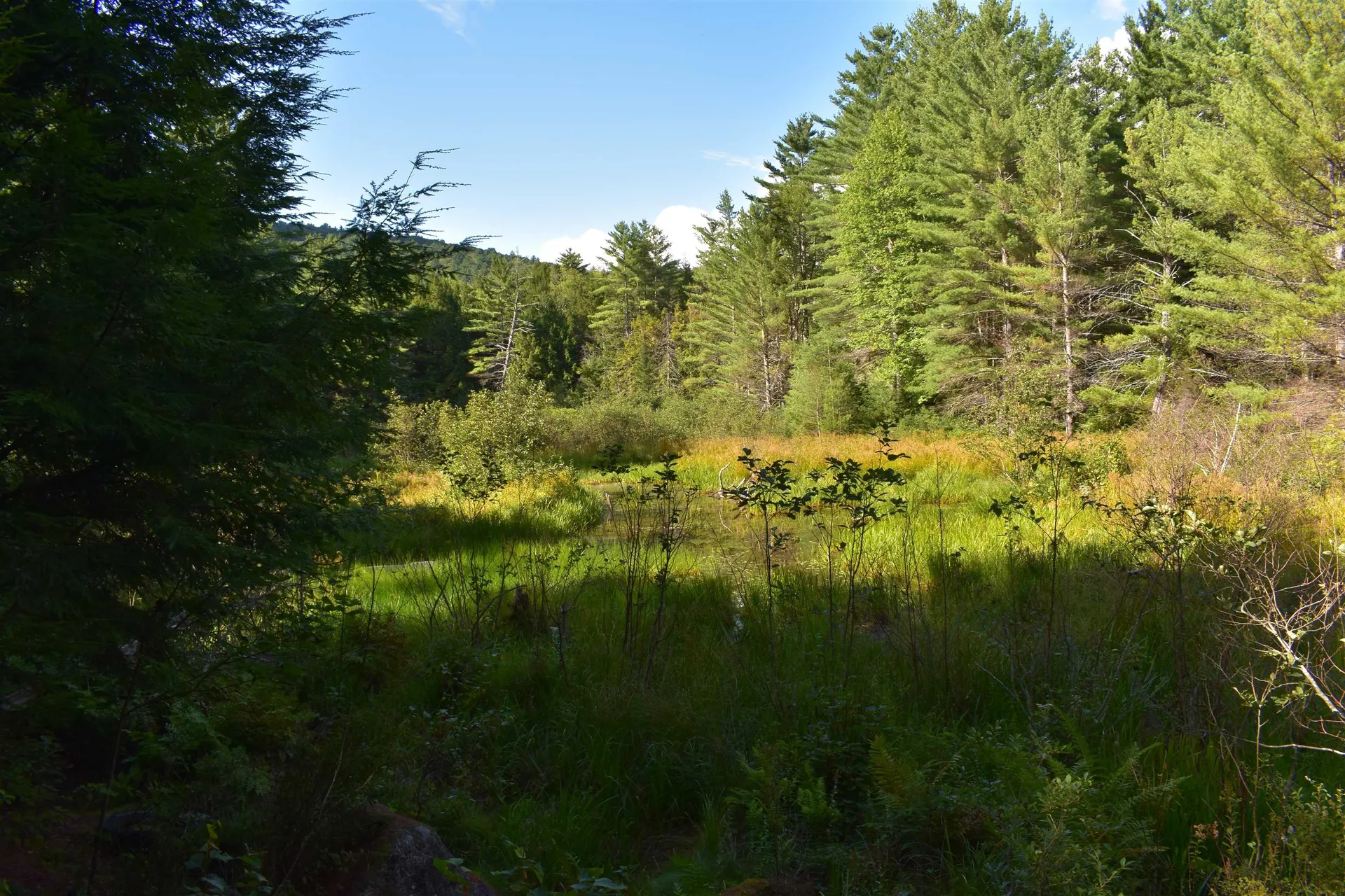 Bald Mountain Road Rumney NH 03266