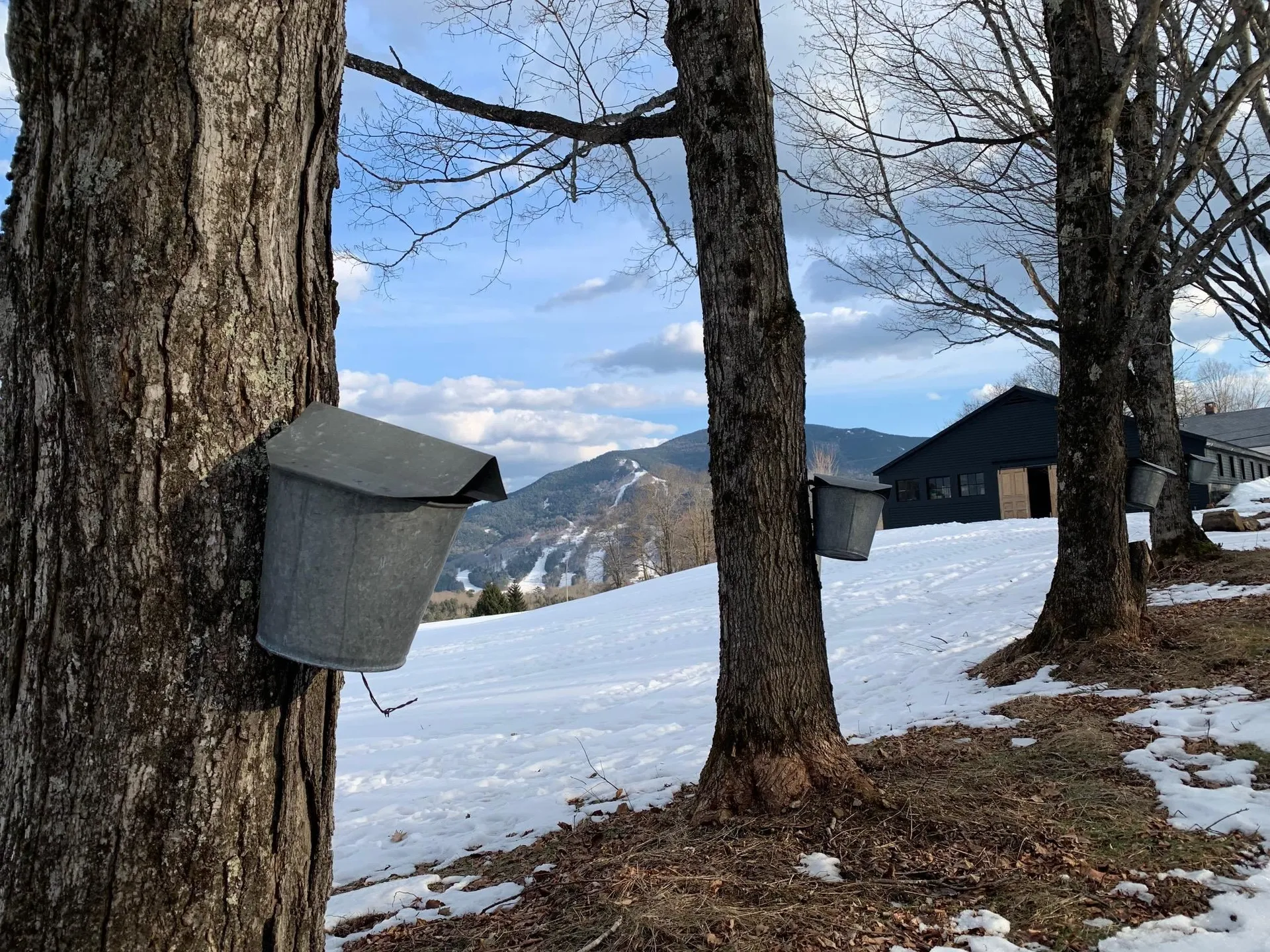 166 Jewett Road West Windsor VT 05037
