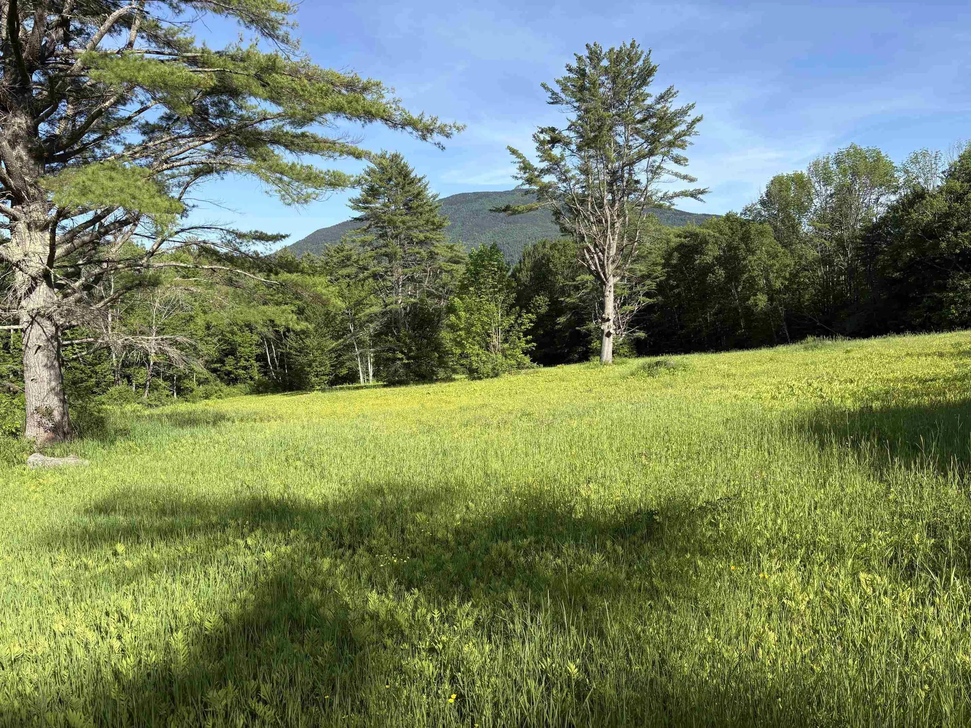 166 Jewett Road West Windsor VT 05037