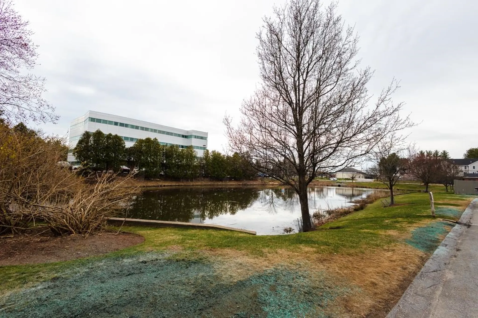 9 Blackstone Drive Nashua NH 03063
