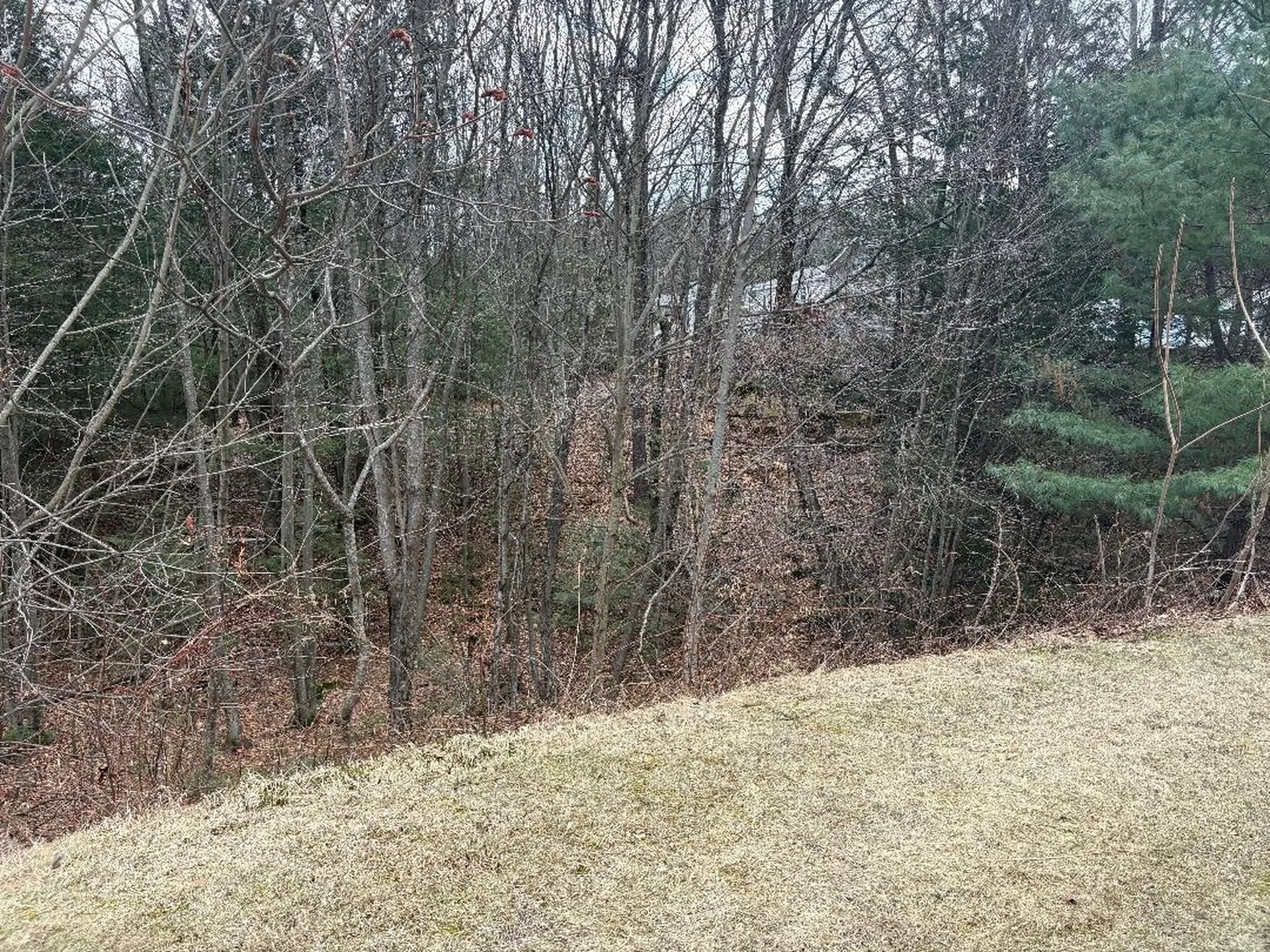 500 Darby Drive Belmont NH 03220