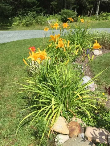 343 Twin Mountain Road Whitefield NH 03598