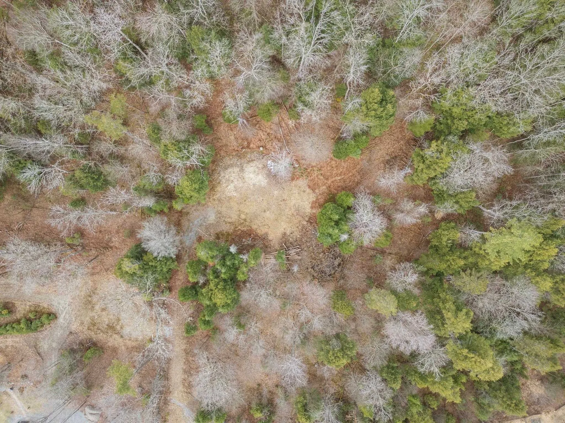 17 Keyes Hollow Road Acworth NH 03607