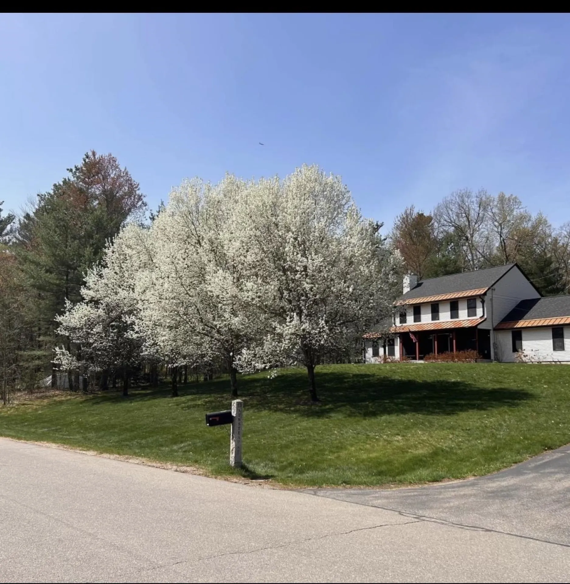 13 Newstead Street Litchfield NH 03052