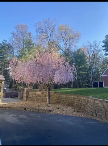 13 Newstead Street Litchfield NH 03052