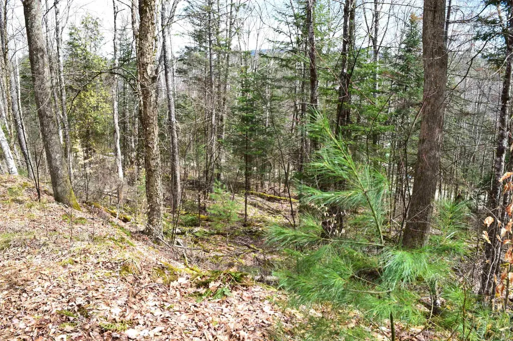 Lot 177 Belknap Drive Haverhill NH 03765