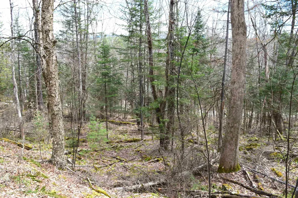 Lot 177 Belknap Drive Haverhill NH 03765