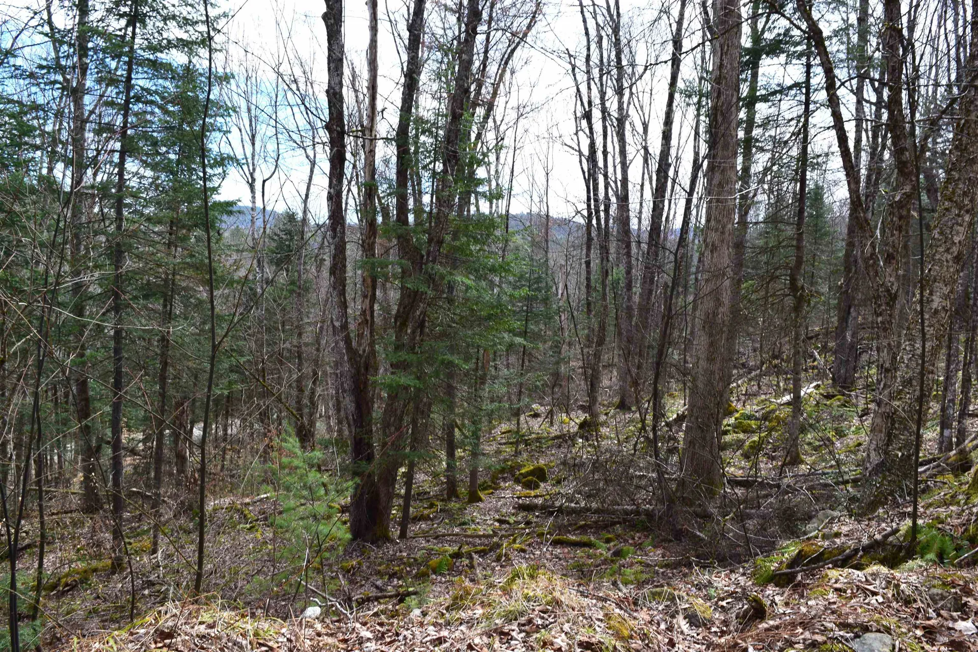 Lot 177 Belknap Drive Haverhill NH 03765