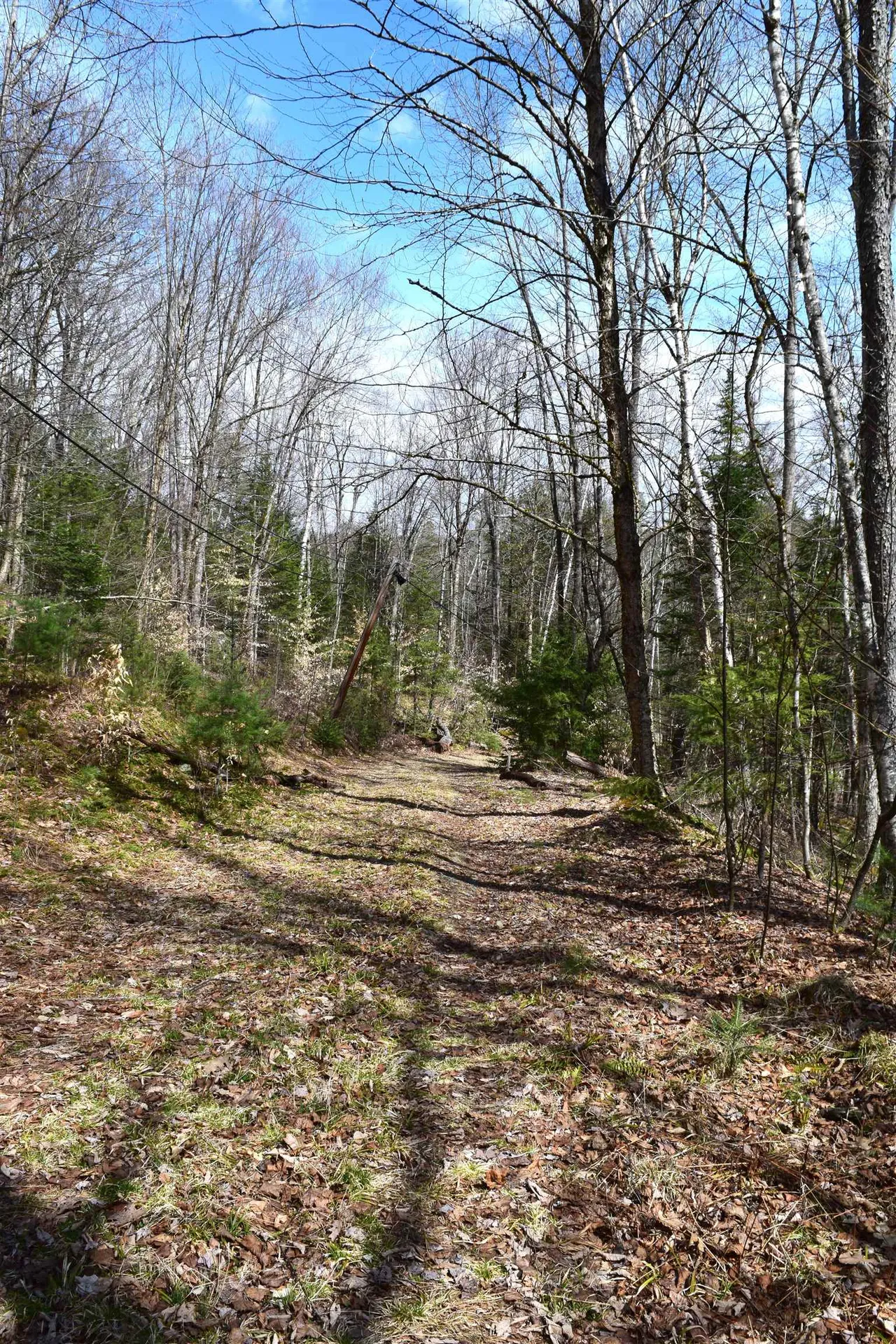 Lot 177 Belknap Drive Haverhill NH 03765