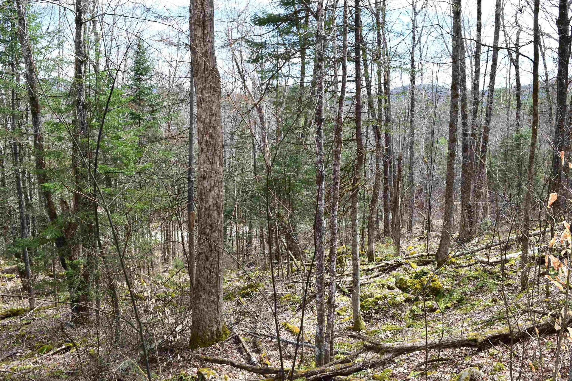Lot 177 Belknap Drive Haverhill NH 03765
