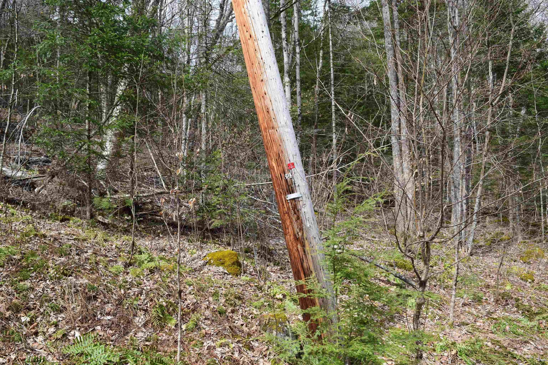 Lot 177 Belknap Drive Haverhill NH 03765