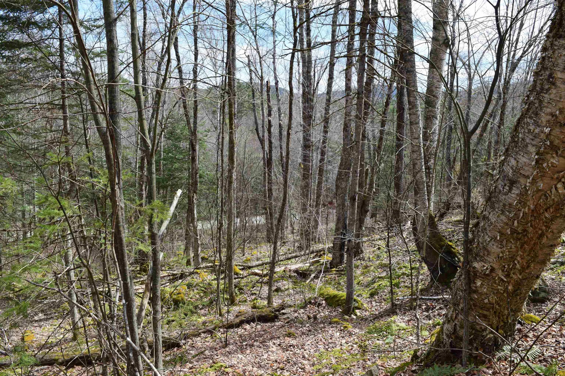 Lot 177 Belknap Drive Haverhill NH 03765