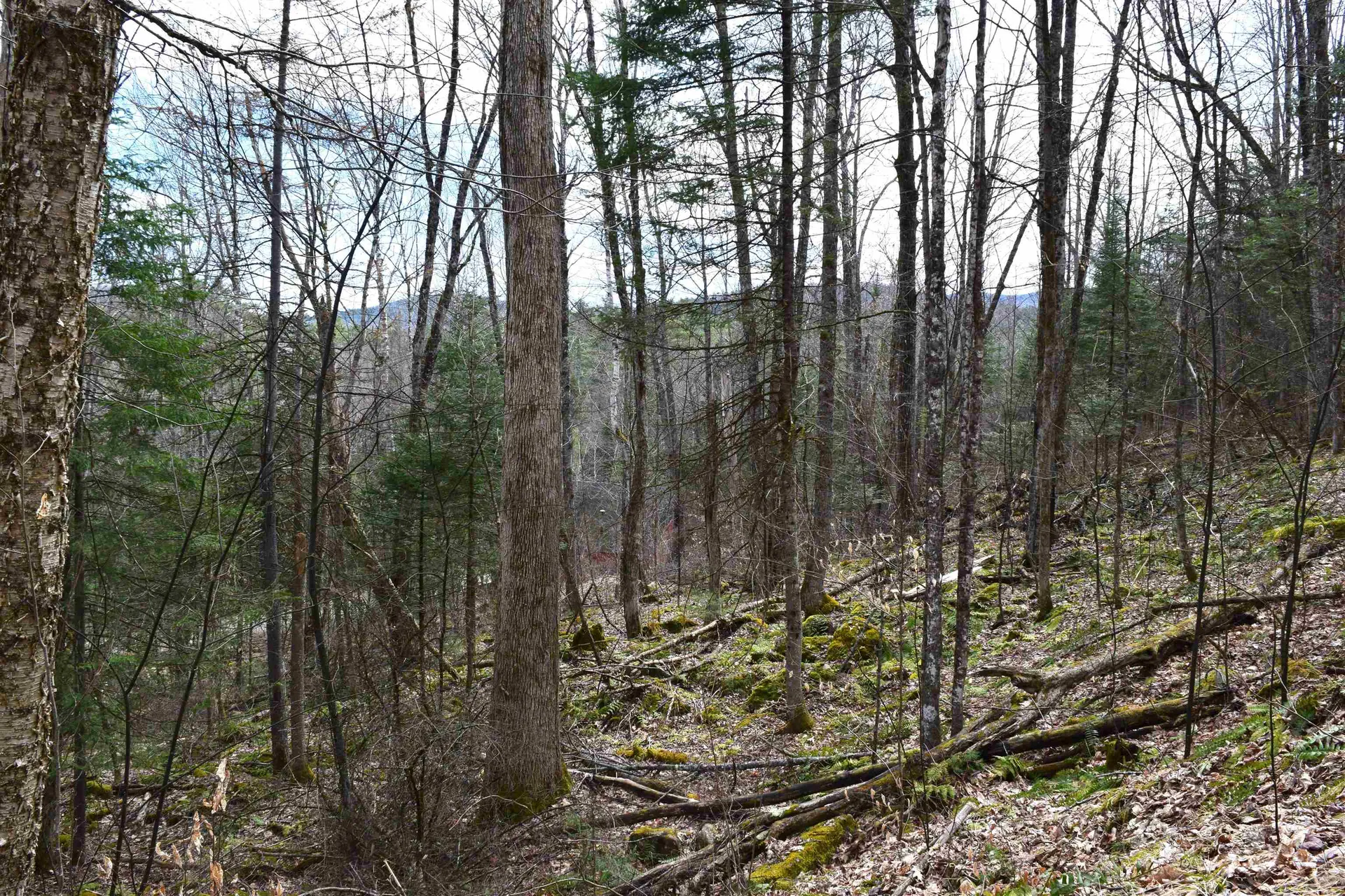 Lot 177 Belknap Drive Haverhill NH 03765