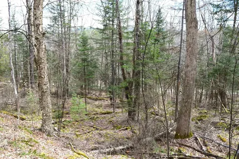 Lot 177 Belknap Drive Haverhill NH 03765