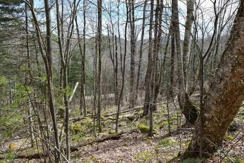 Lot 177 Belknap Drive Haverhill NH 03765