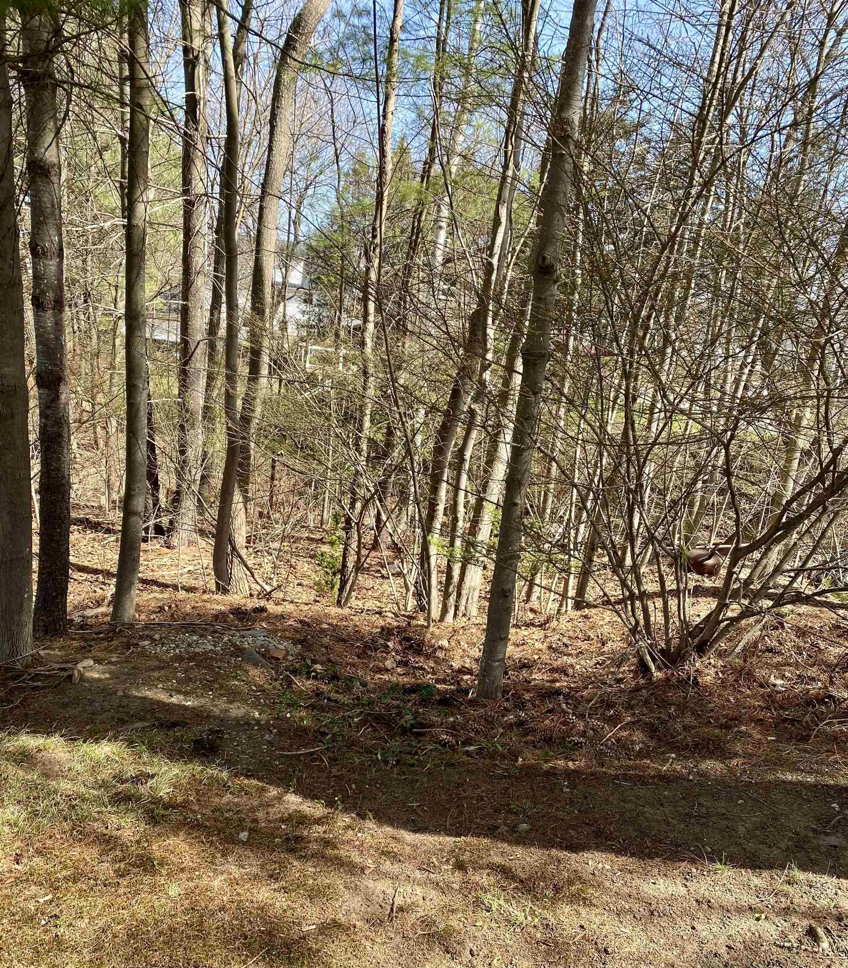 18 Kanata Drive Nashua NH 03063