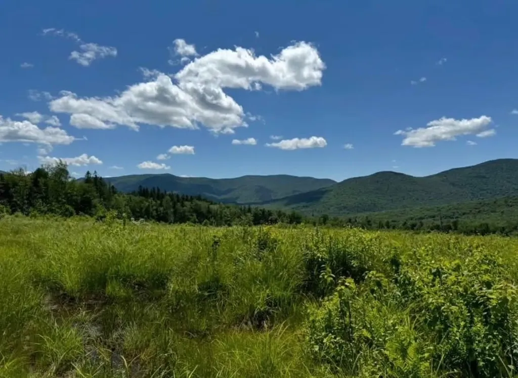 00 Fassett Hill Hancock VT 05748