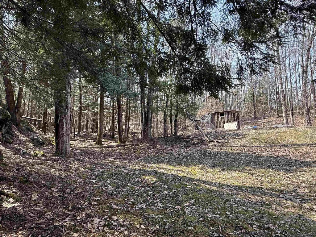 74 Dutton District Road Springfield VT 05156