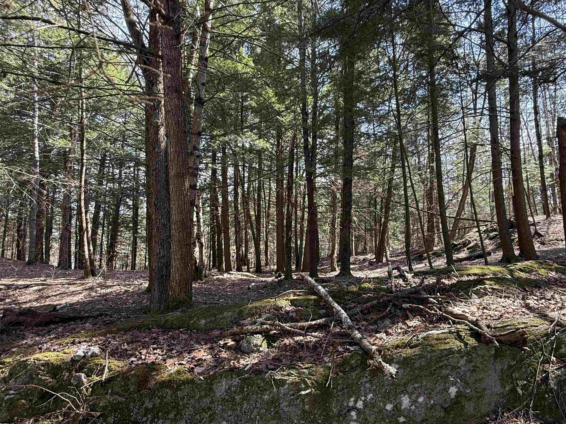 74 Dutton District Road Springfield VT 05156