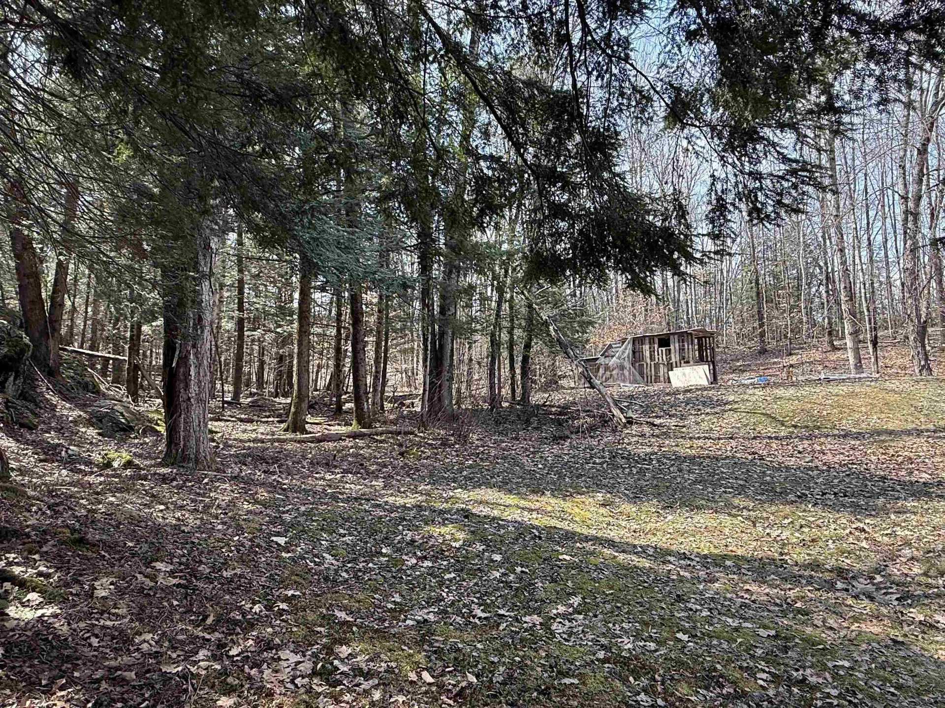 74 Dutton District Road Springfield VT 05156