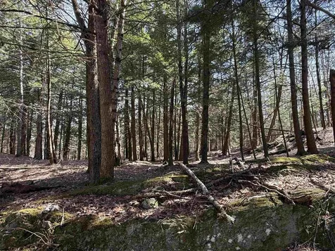 74 Dutton District Road Springfield VT 05156