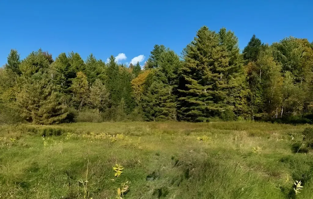 843 River Road Troy VT 05859