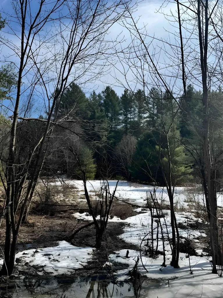 843 River Road Troy VT 05859