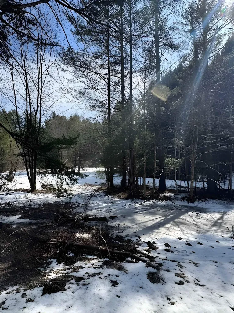 843 River Road Troy VT 05859