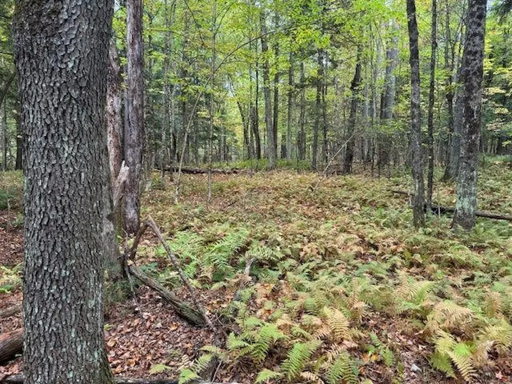 843 River Road Troy VT 05859