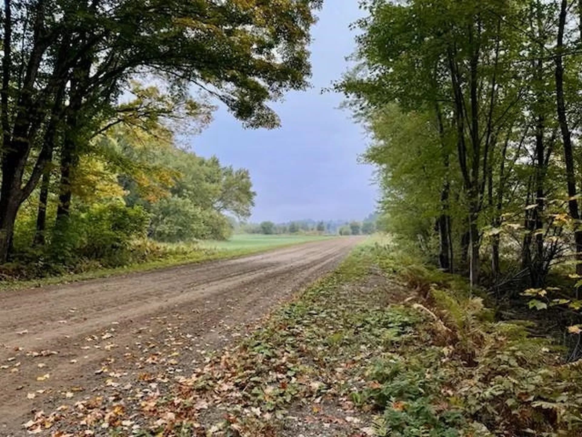 843 River Road Troy VT 05859