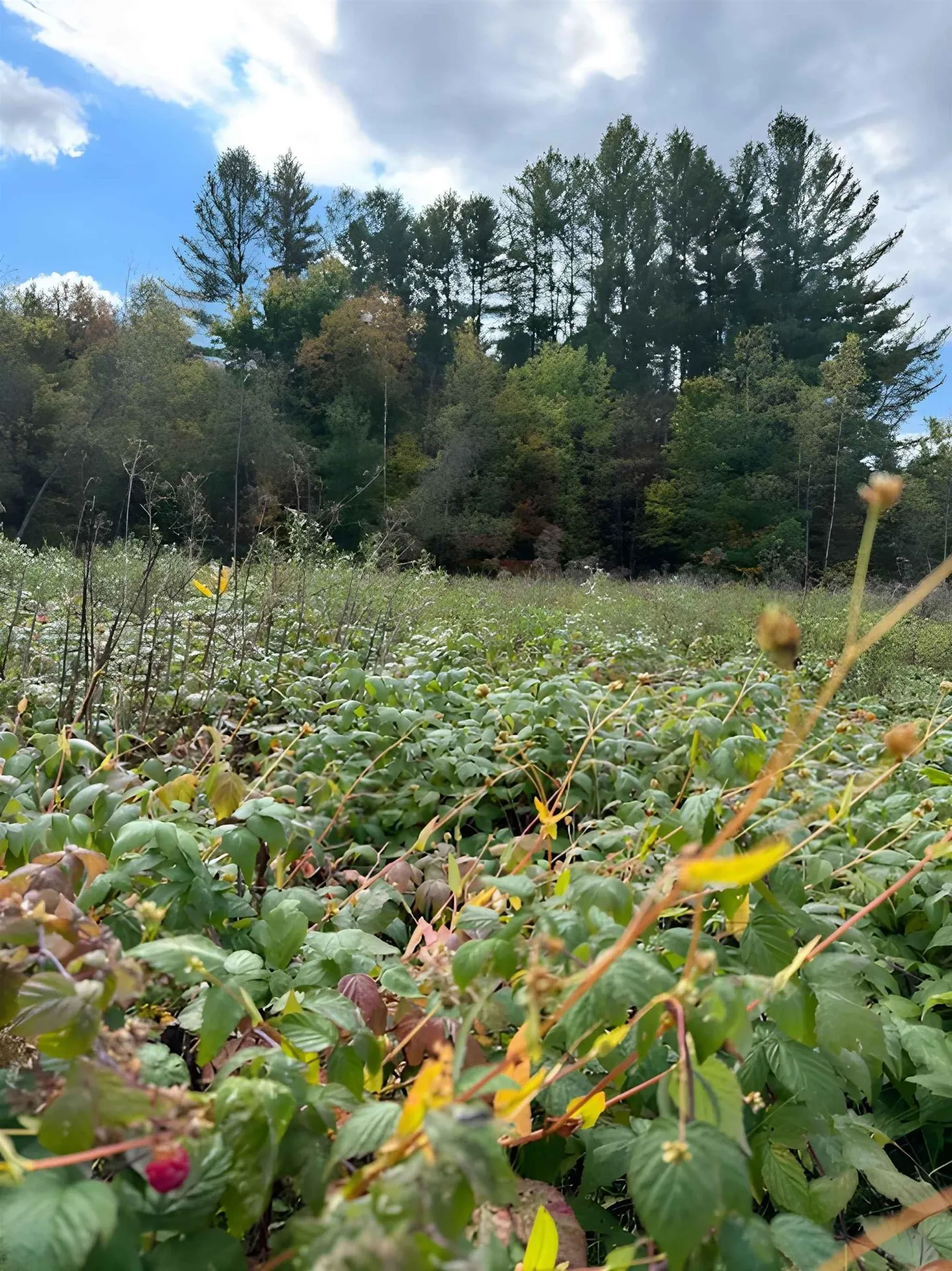 843 River Road Troy VT 05859