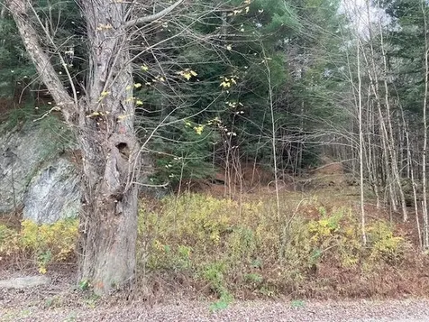 843 River Road Troy VT 05859