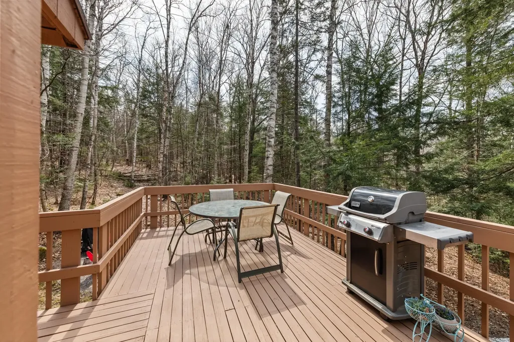 156 Hodgeman Hill Road Campton NH 03223