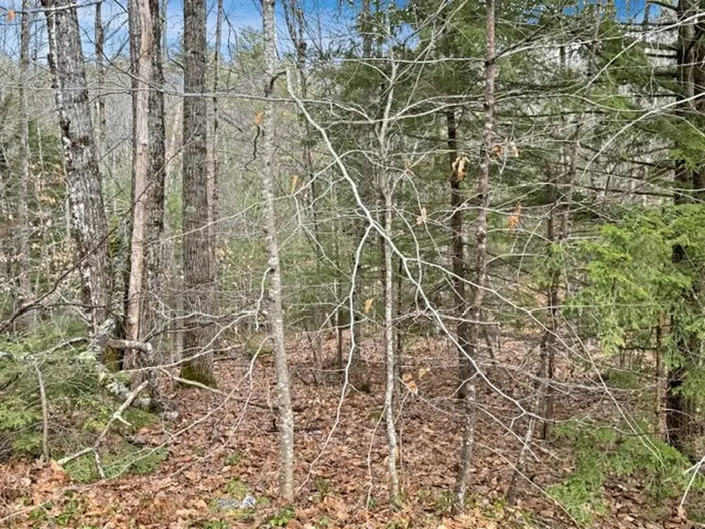 78 Hopper Road Milton NH 03851