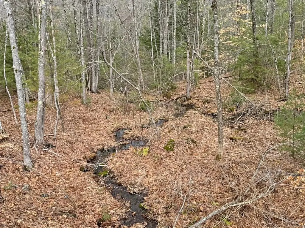 78 Hopper Road Milton NH 03851