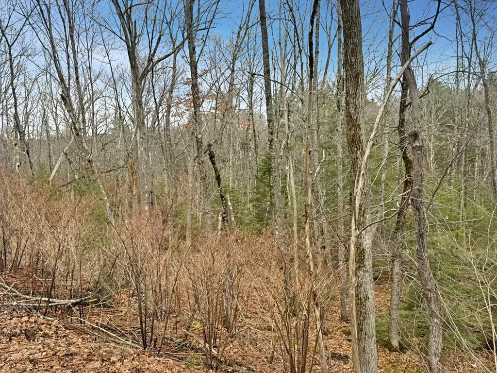 78 Hopper Road Milton NH 03851