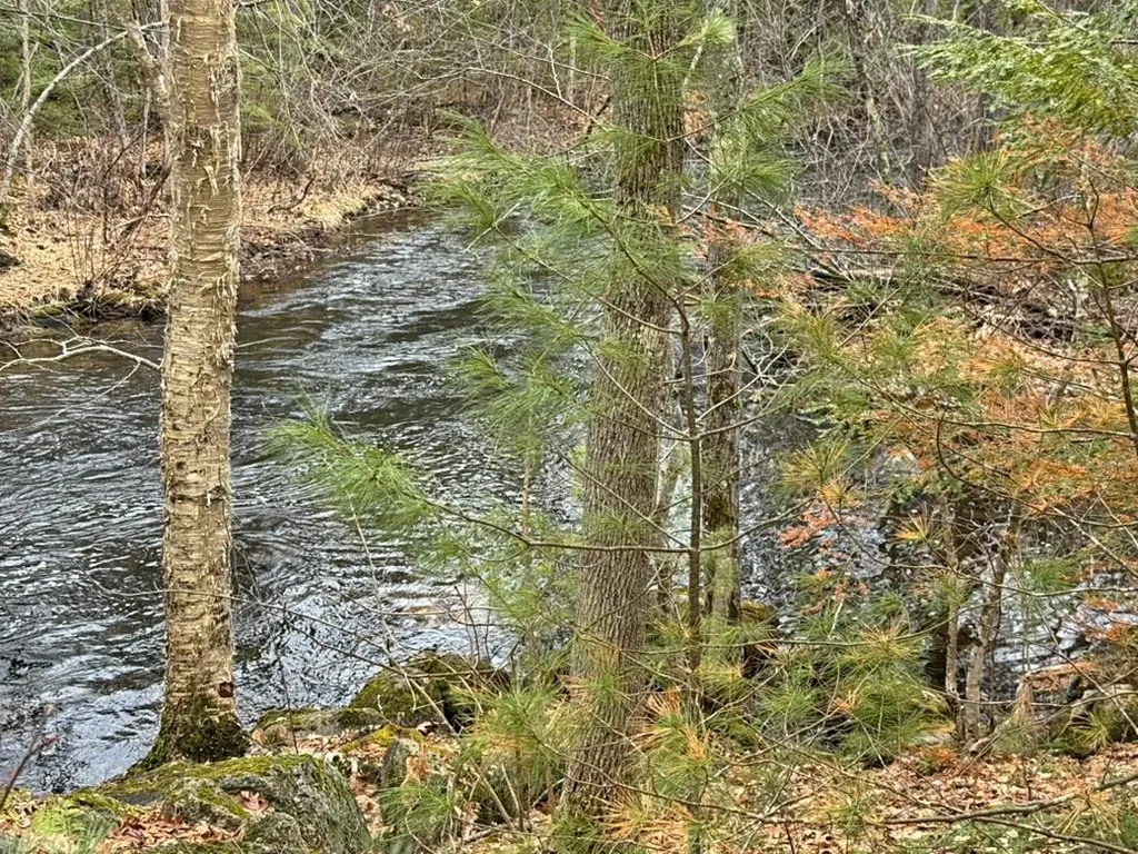 78 Hopper Road Milton NH 03851