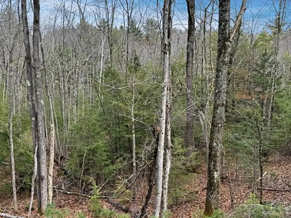 78 Hopper Road Milton NH 03851