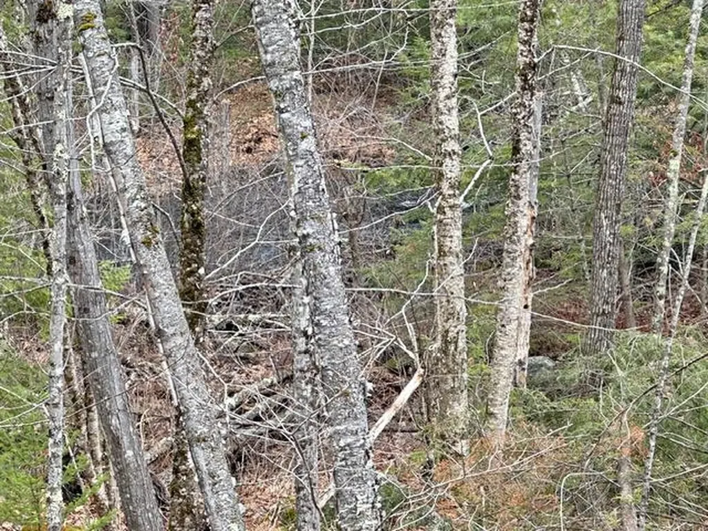 78 Hopper Road Milton NH 03851
